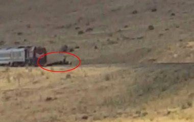 Çoban ve Sürüsü Son Anda Kurtuldu