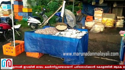 Food safety issues in kerala