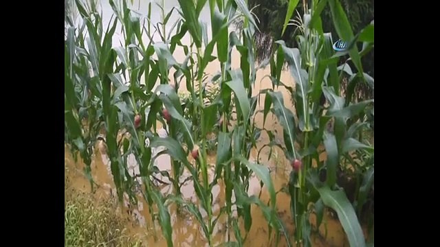Japonya’yı sel vurdu! Çok sayıda ölü ve yaralılar var