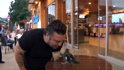 Sahiplendiği kargalara çocuğu gibi bakıyor