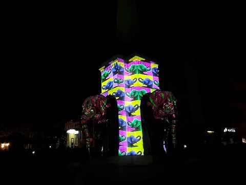 Fête des éléphants à Chambéry : le spectacle de la fontaine