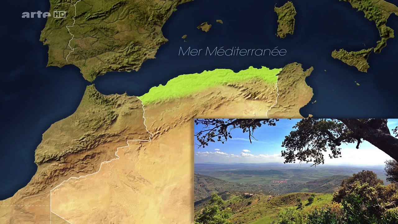 " Algerien: In der Sackgasse?" - Mit offenen Karten | der Wolpertinger.