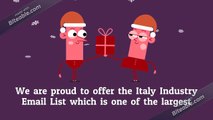 Italy Business Email List Providers