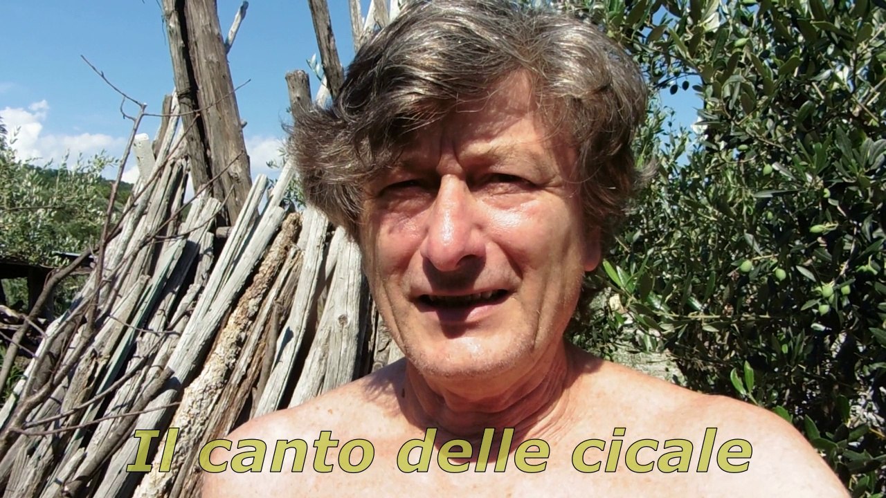 Il canto delle cicale
