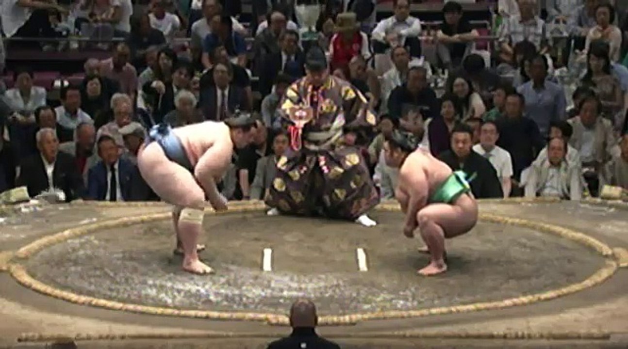 碧山 vs 貴景勝 2018年大相撲夏場所13日目 20180525