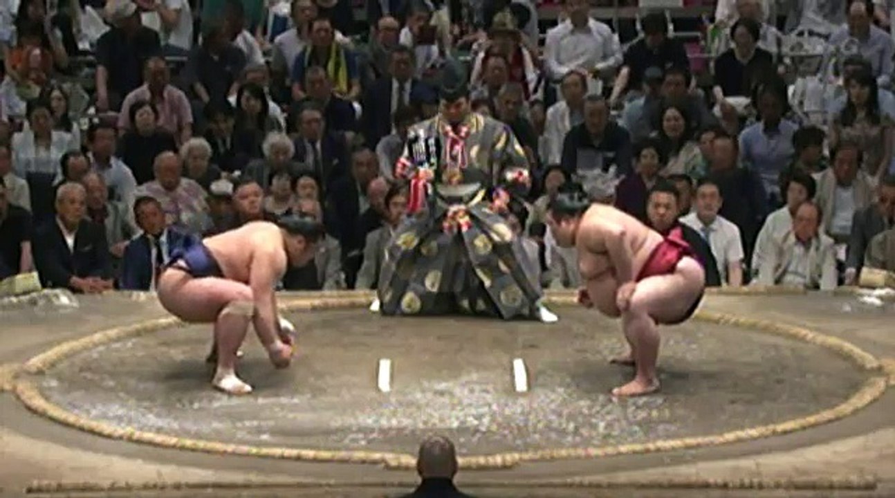 栃煌山 vs 千代丸 2018年大相撲夏場所13日目 20180525