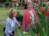 Rosemary & Thyme S03 - Ep08 Enter Two Gardeners HD Watch