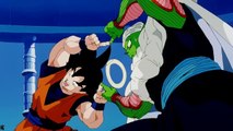 Dragon Ball Z - La fusion entre Sangoku et Piccolo !