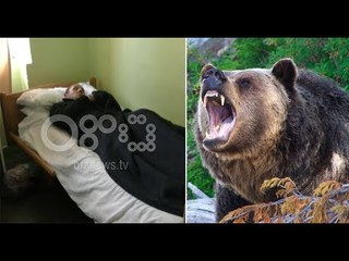 Ora News- Ariu zbret në Kukës, sulmon një 36-vjeçar