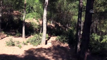 Ufuk'u arama çalışmalarında 7'nci gün - HATAY