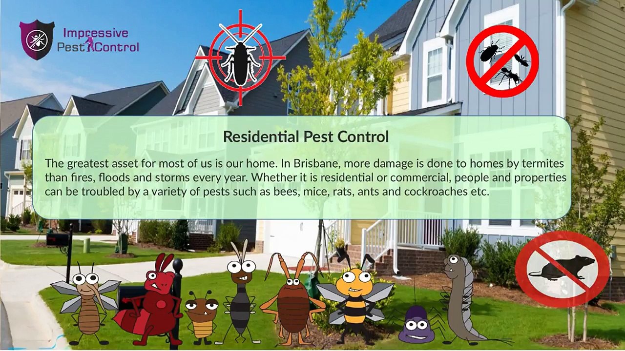 impressivepestcontrol