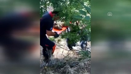 Açlık ve susuzluktan ölmek üzere olan köpek kurtarıldı - ELAZIĞ