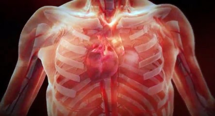 Curious and Unusual Dths S02 - Ep03 de'ath By Handiwork HD Watch