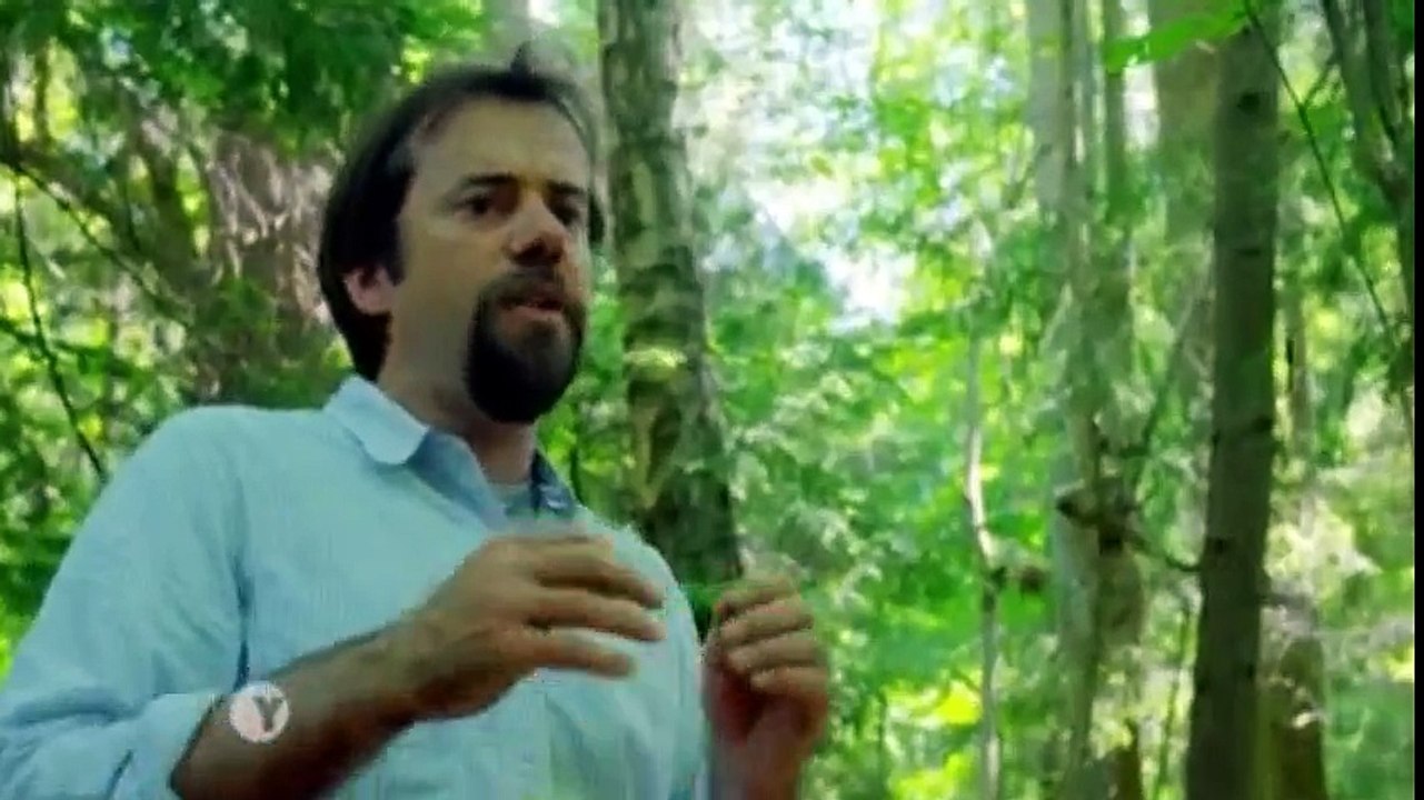 Nazi Megastructures S02 - Ep02 Hitler's Megaships - Part 02 HD Watch