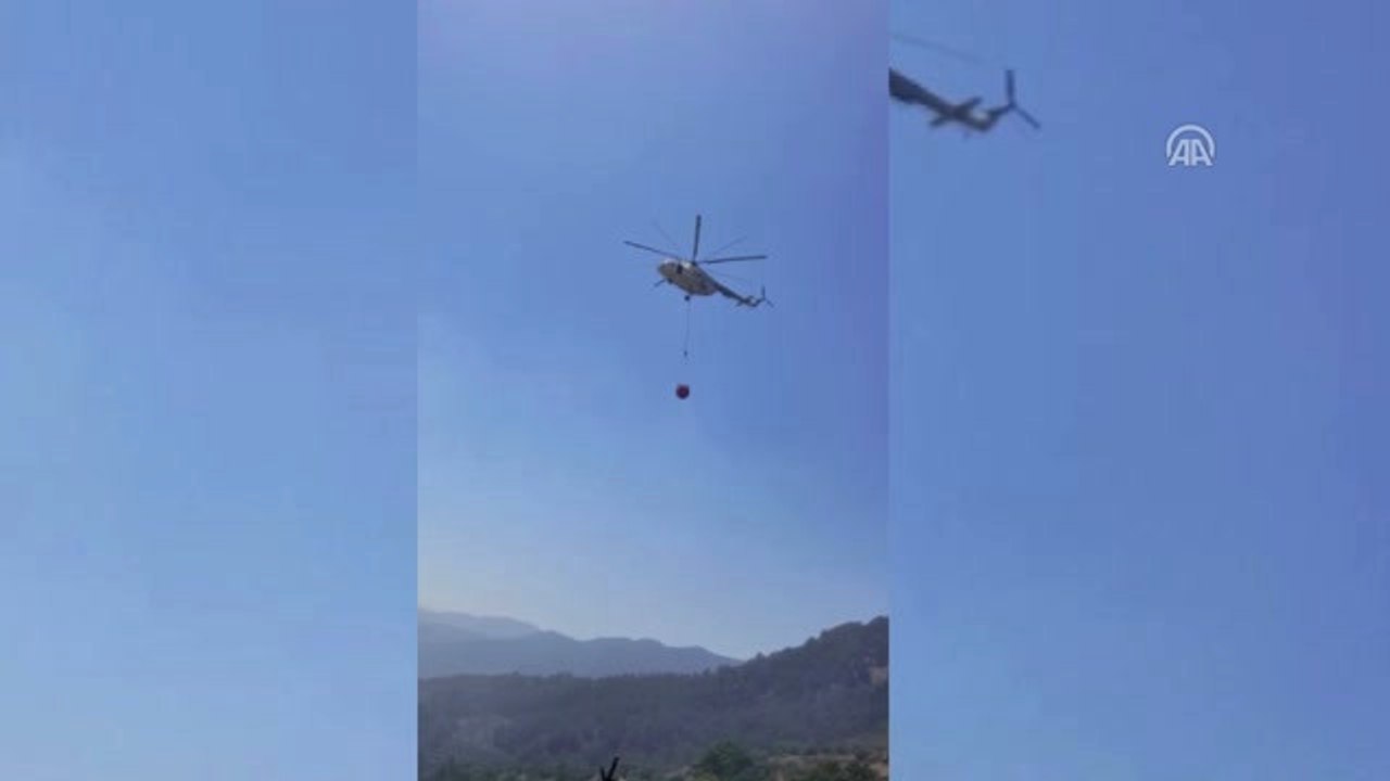 Orman Yangını