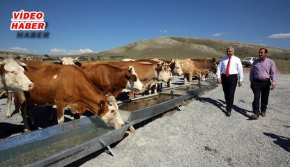 (7 Temmuz 2018) BAŞKAN ÇELİK, “BÜYÜKŞEHİR, KIRSALA YATIRIMDA DA HIZ KESMİYOR”