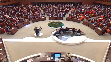 Ankara Adana Milletvekili Tamer Dağlı TBMM'de Yemin Etti