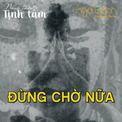 ĐỪNG CHỜ NỮA - TRẦM HƯƠNG NGỘ TRẦM