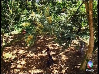 Os Mutantes Capítulo 113 2_2