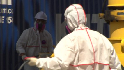 인천항서 국내 첫 붉은불개미 여왕개미 발견 / YTN