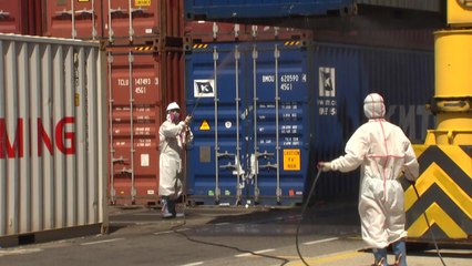 인천항서 국내 첫 붉은불개미 여왕개미 발견 / YTN