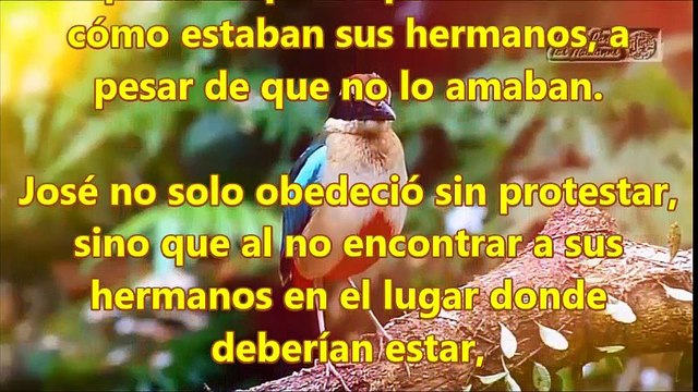 Devocional 9 Julio,Dios te habla hoy. Hijos, obedeced a vuestros padres .