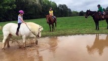 Ce poney est bien décidé à se débarrasser de sa jeune cavalière