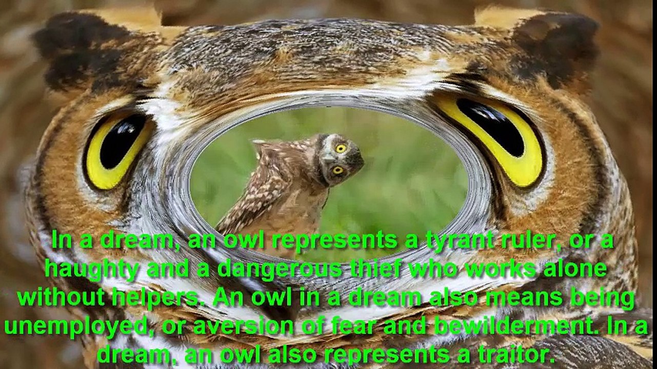owl .اُلوخواب میں ، ظالم حکمران کی نمائندگی کرتا ہے، یا خطرناک چور جو مددگاروں کے بغیر اکیلے کام کرتا ہے