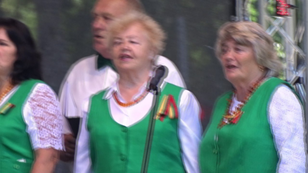 Klaipėdos m. klubo ''Ruta''ansamblio ir svečių koncertas VALSTYBES DIENAI