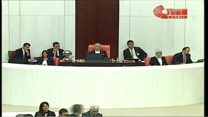 Ankara Milletvekilleri TBMM'de Yemin Etti 7