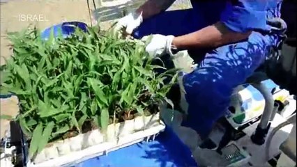 Japan Agriculture Technology - Agriculture Technology Machines