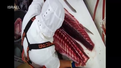 World Amazing Modern Latest Intelligent Technology: Fish  Processing