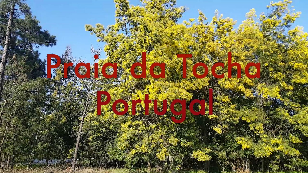 Praia Palheiros da Tocha -Uma antiga praia de pescadores, com suas casa em madeira, assim eram nos anos 50 e hoje se mantem por tradição.