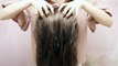 [ASMR] Scalp Massage, Hair Brushing / No Talking