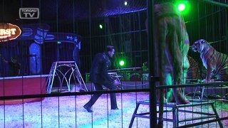 Gastspiel Circus Probst in Torgau - Teil 2 von 2