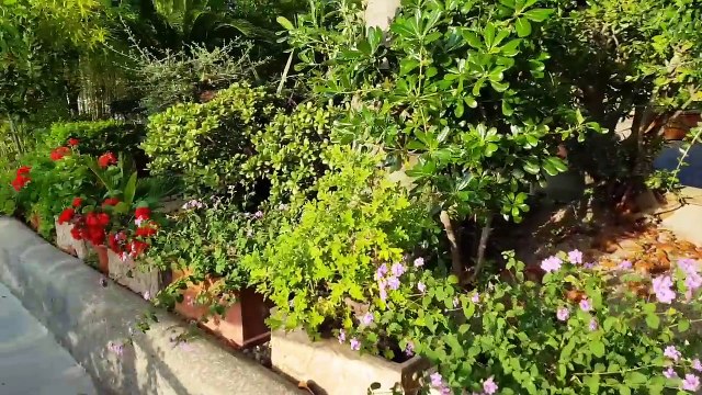 Для чего нужно биде