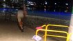 There's nothing like Australia Gold Coast Commonwealth Games and Trick Scootering #GC2018