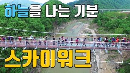 [자막뉴스] '새로운 관광명소'...점점 느는 스카이워크 / YTN