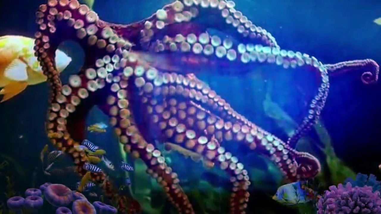 The London Apartments Dunwoody - Atlanta Luxury Homes