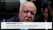 Iranian Oil Minister Calls Trump's Order to OPEC Insulting