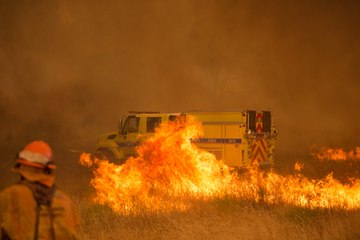 Records de chaleur : des incendies font rage aux États-Unis