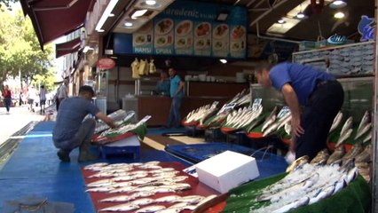 Balıklar Mavi Karekod ile takip edilecek