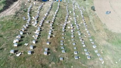 Uzun Süren Yağışlar Balda Rekolteyi Düşürebilir"