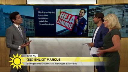 Sverigedemokraterna stormar fram i mätningarna  - Nyhetsmorgon (TV4)