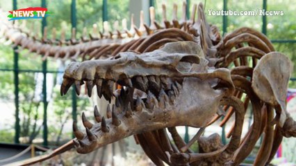 Top 10 thủy quái thời tiền sử hung hãn nhất