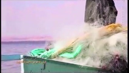 "الزراعة": تنهى 4 محاور رئيسية لتنمية وتطوير بحيرة قارون .. تعرف عليها