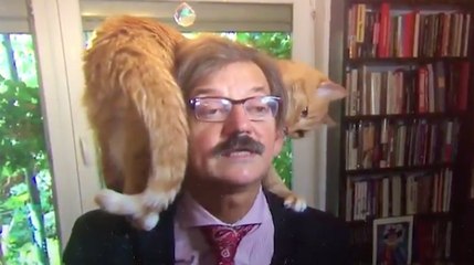 Canlı yayını kedi bastı!