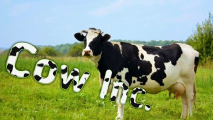Cow inc. - Cow Inc.