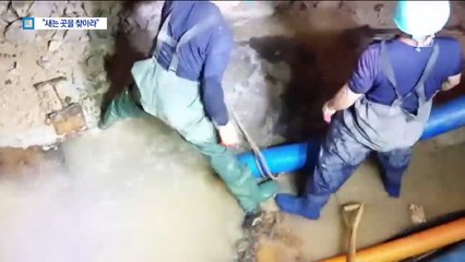 여름철 줄줄 새는 수돗물…소리로 누수 찾는다