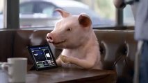 GEICO Commercial   Pig Latin Maxwell Pig